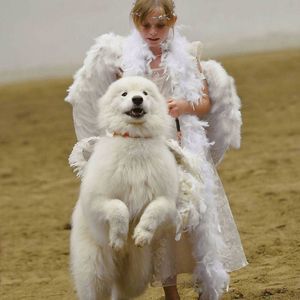 Meet your Posher, Deanna